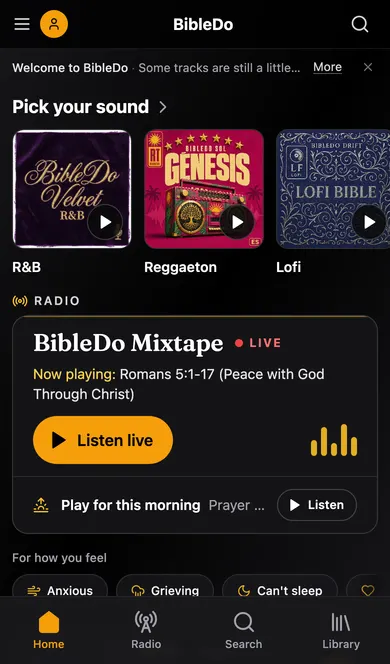 BibleDo on a phone