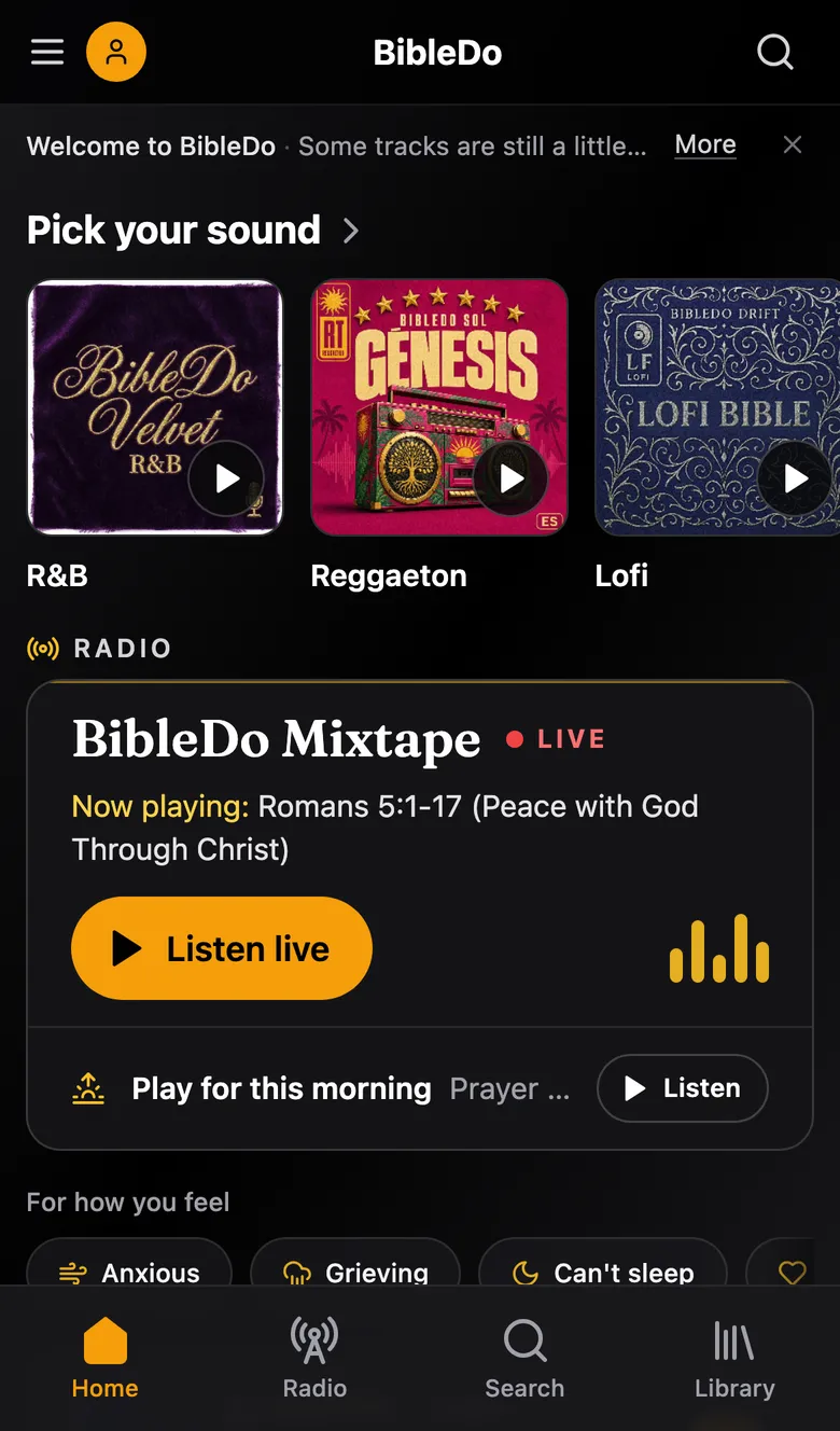 BibleDo on a phone